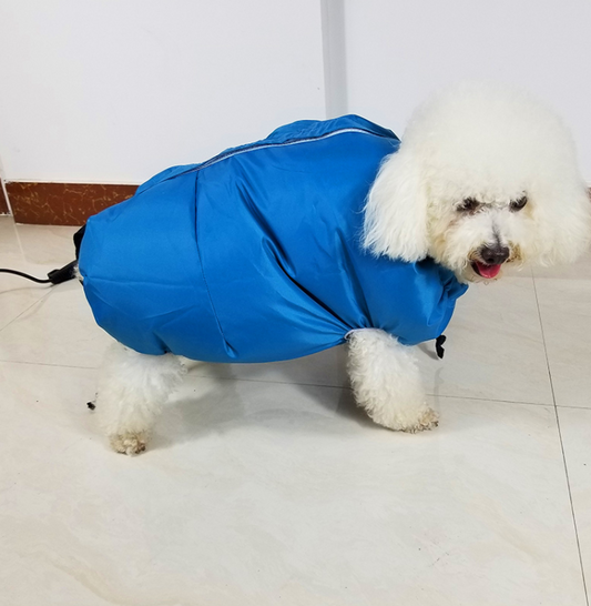 Fur-Friendly Pet Drying Station