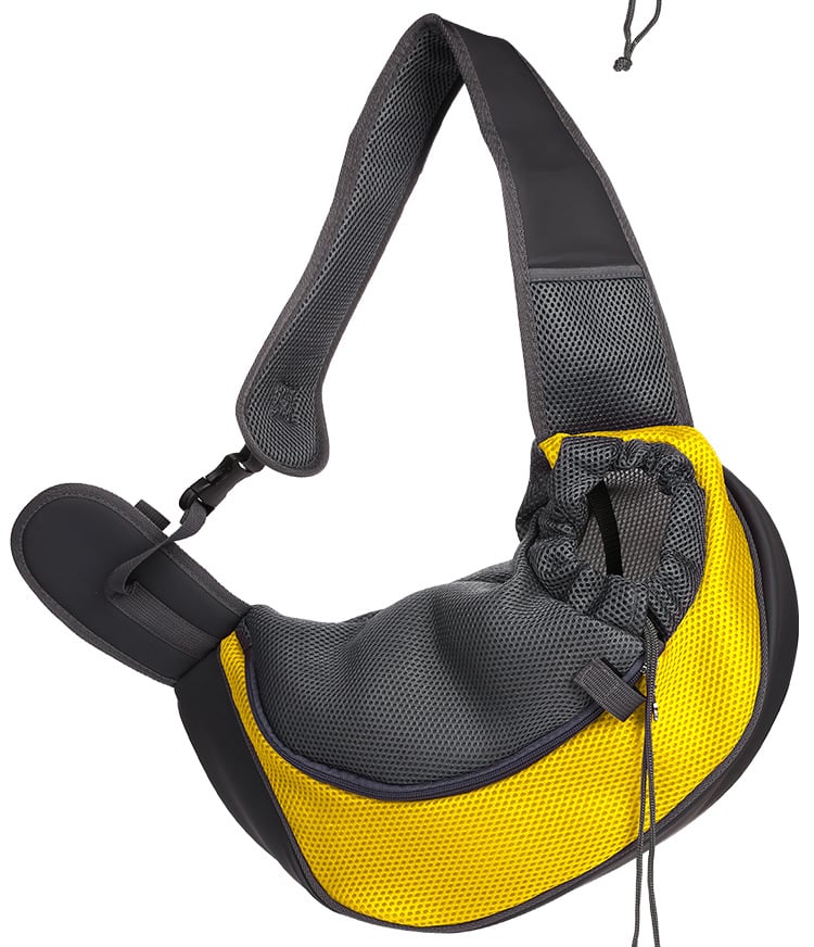 Compact Pet Explorer Bag