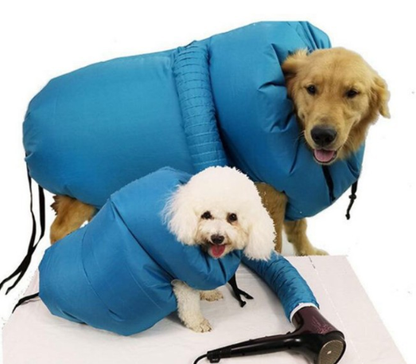 Fur-Friendly Pet Drying Station